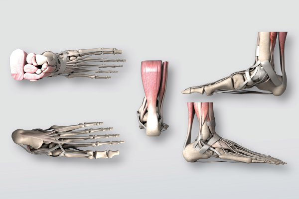 Unsere kleine „Fuß-Schule“